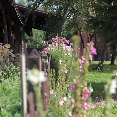 Orlik Mazury